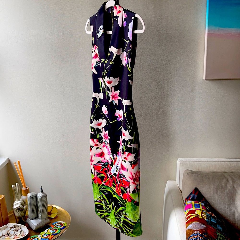 Ted Baker Dress